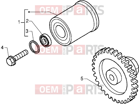gilera DNA 180 Engine » Torque limiting device - Dampe