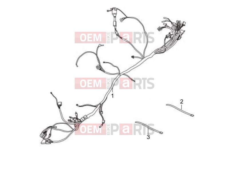gilera 2007 Oregon 250 Electrical system » Main cable harness