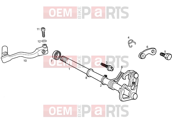 gilera RCR Engine » Selector shaft