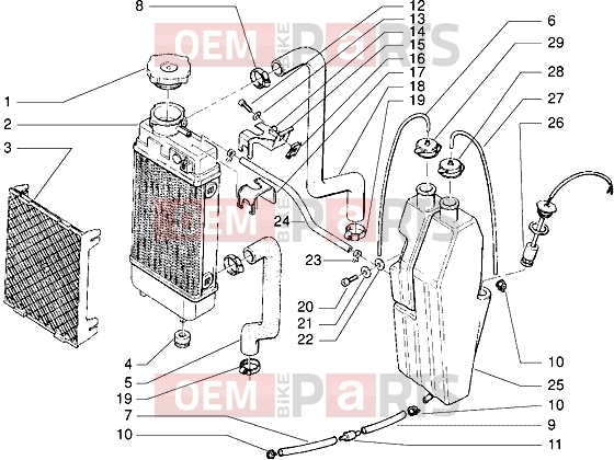 gilera RK 50 Engine » Radiator