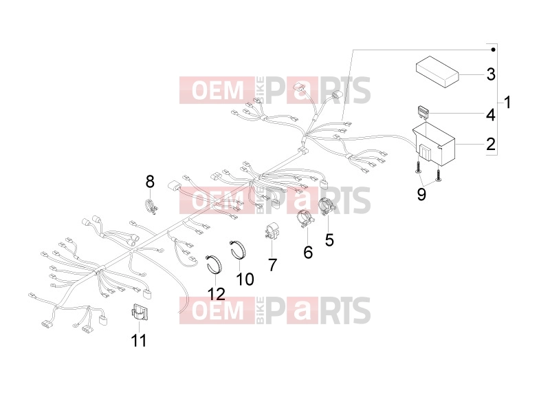 gilera 2014 Runner 50 SP Electrical system » Main cable harness