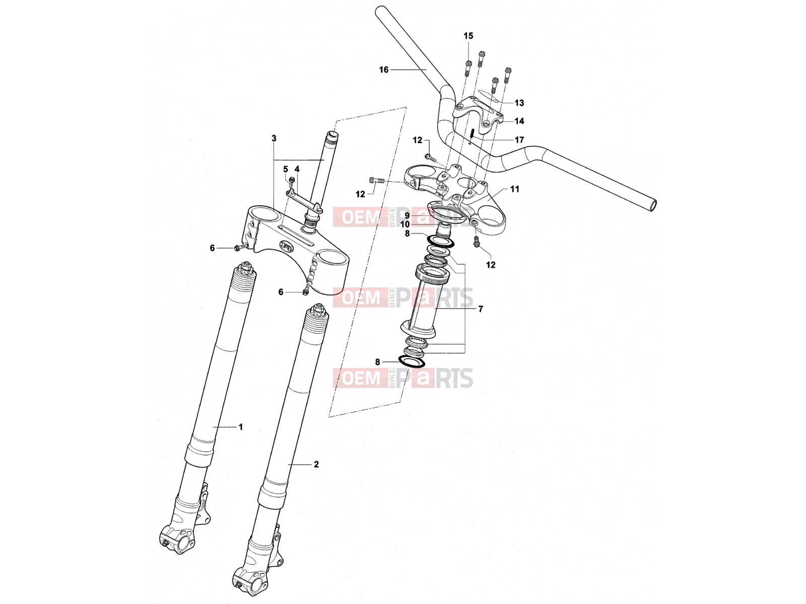 MV Agusta Brutale 910 R Front Suspension Assembly