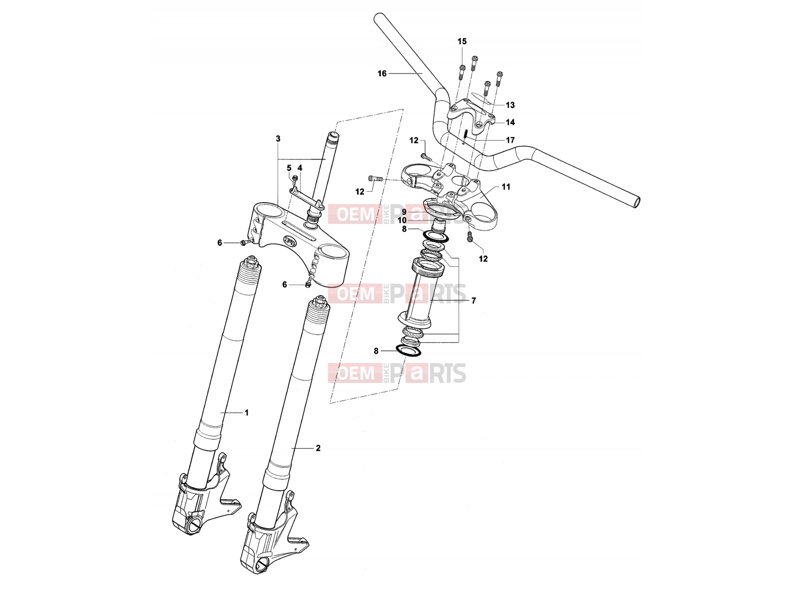 MV Agusta Brutale 1078 RR Front Suspension Assembly