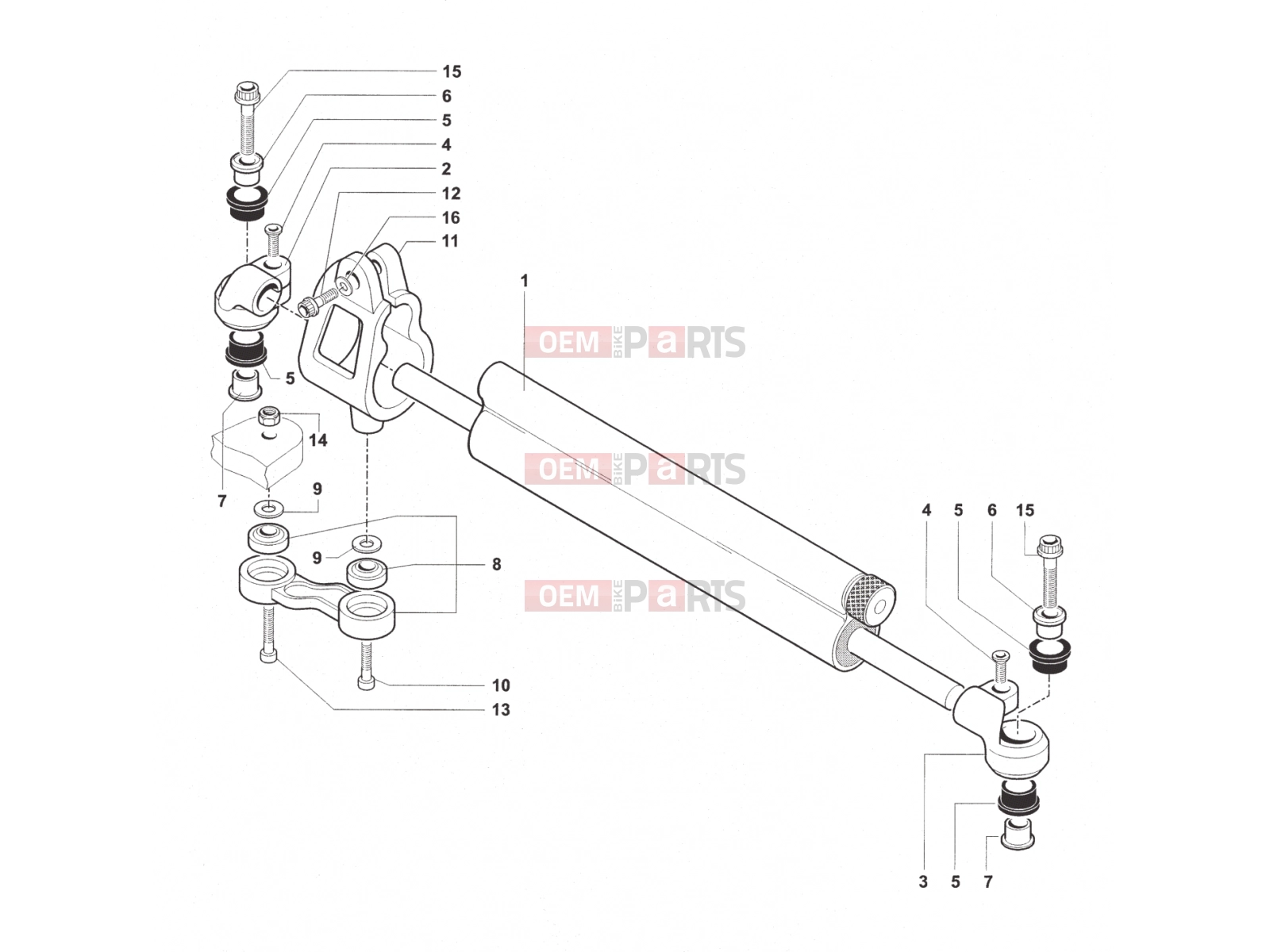 MV Agusta 2012 F4 RR Steering Damper Assembly