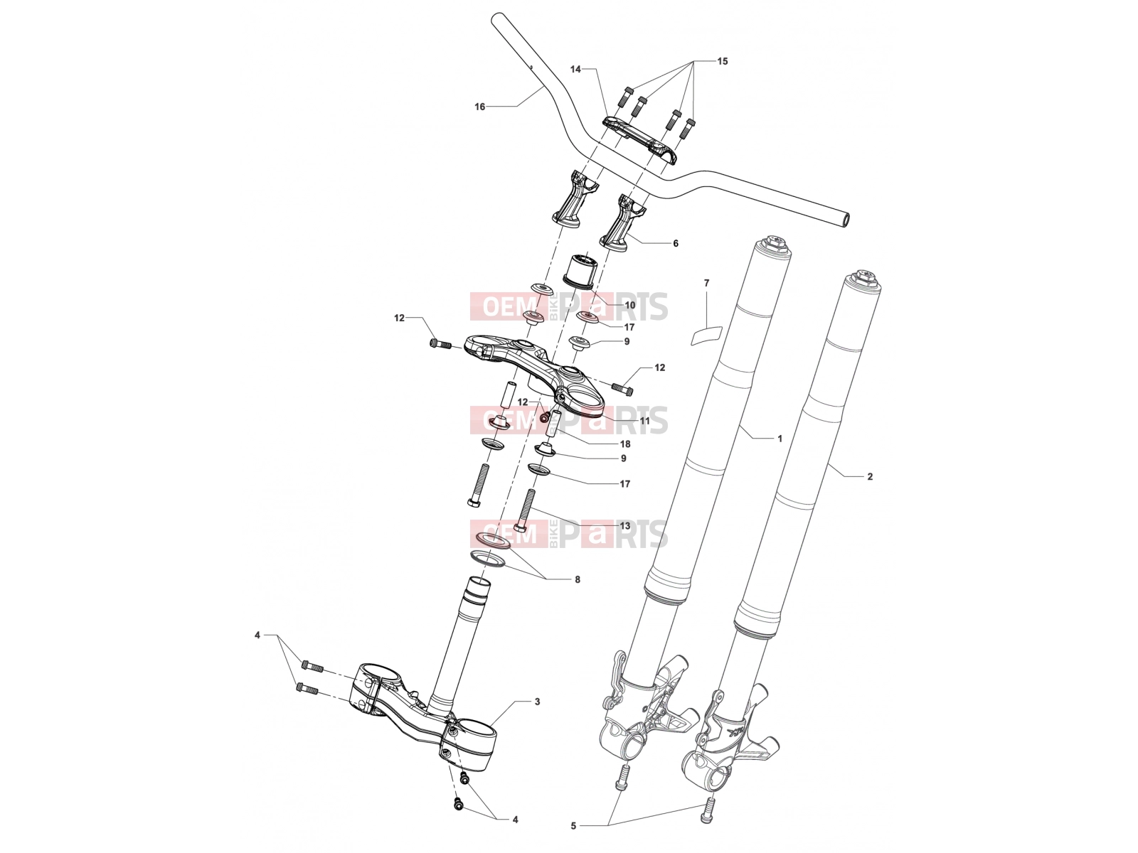 MV Agusta Rivale 800 Front Suspension Assembly