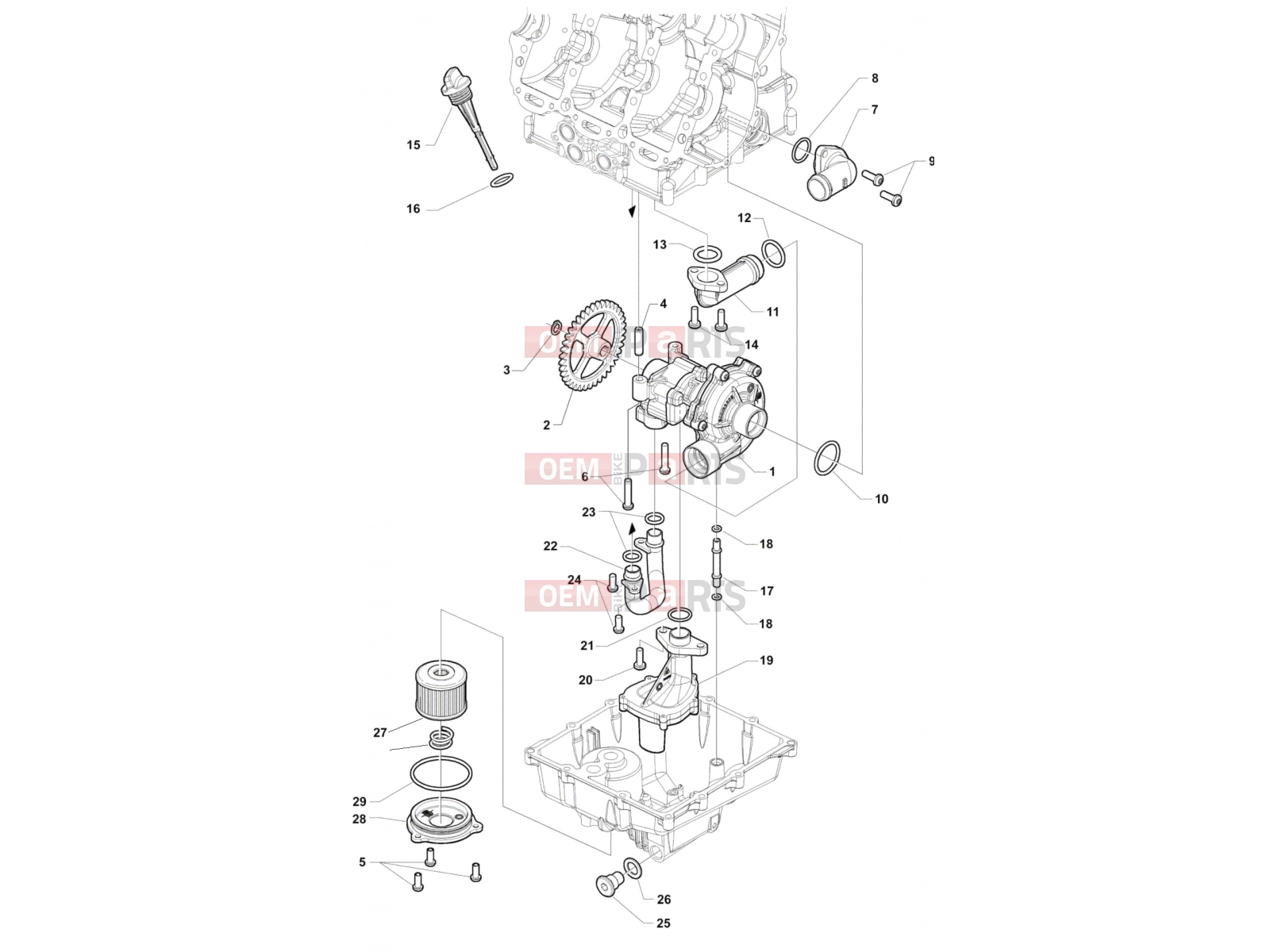 MV Agusta Stradale 800 Lubrication System