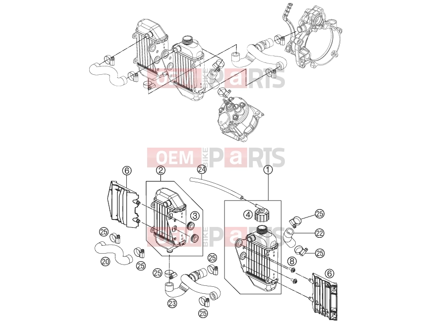 KTM 50 SX MINI (6001L5) [EU] 2012 COOLING SYSTEM|Engine|35