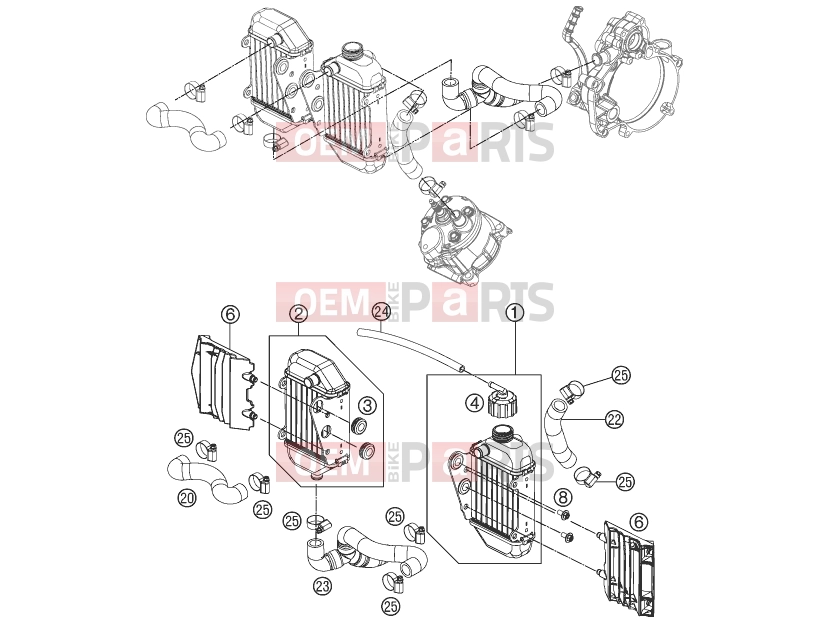 KTM 50 SX (6001L4) [EU] 2012 COOLING SYSTEM|Engine|35
