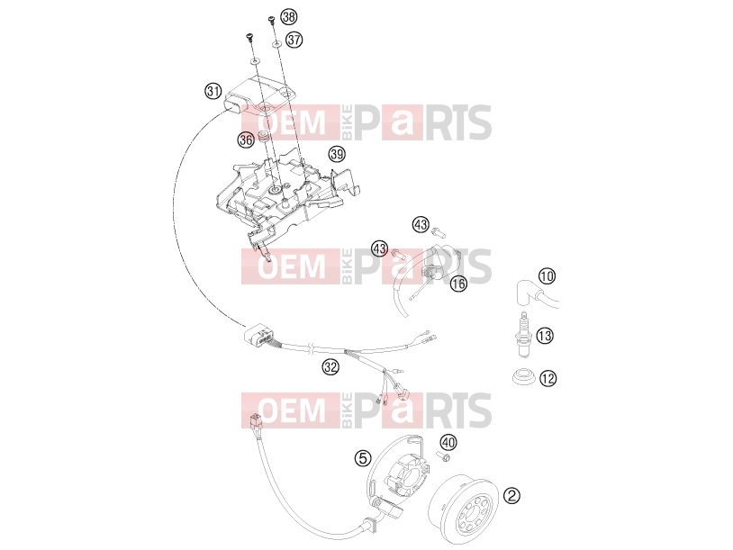 KTM 250 SX (6301K0) [EU] 2011 IGNITION SYSTEM|Engine|39