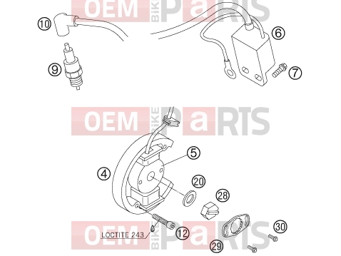 KTM 50 SX JUNIOR (6001G3) [US] 2007 IGNITION SYSTEM|Engine|39