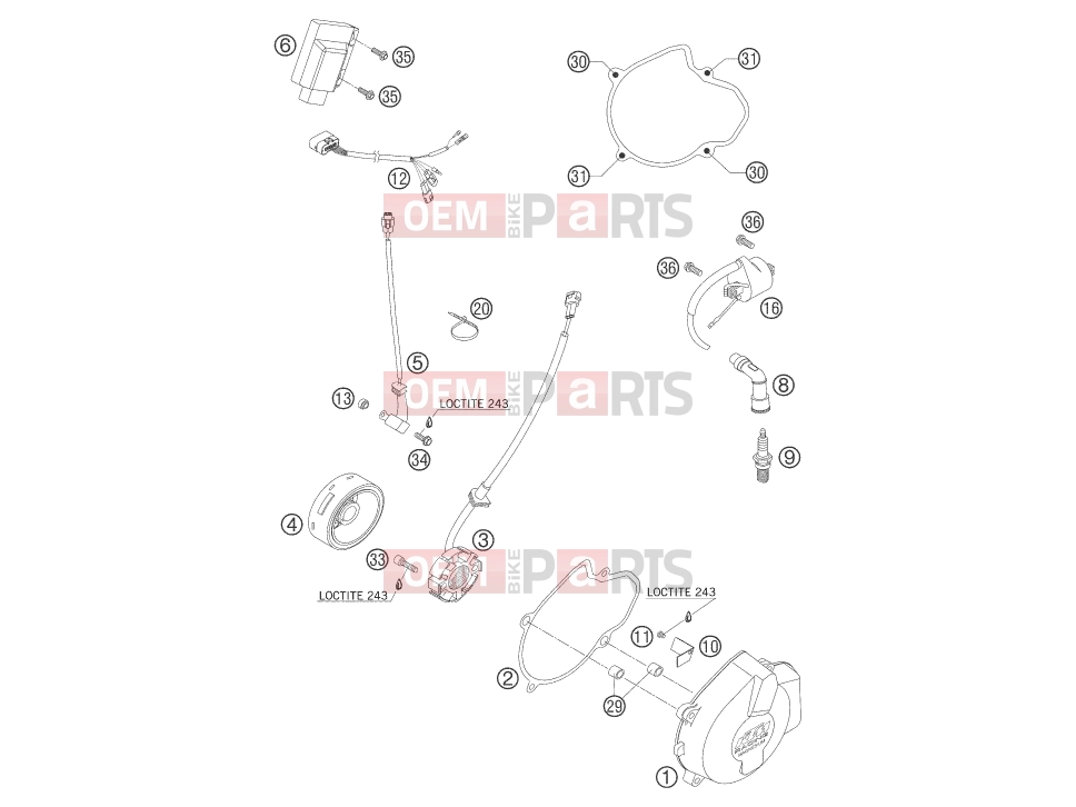 KTM 450 SX (8401F5) [EU] 2006 IGNITION SYSTEM|Engine|39