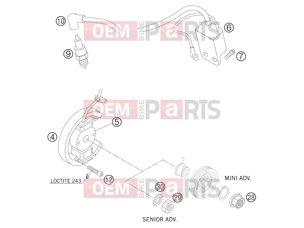 KTM 50 MINI ADVENTURE (6001E5) [EU] 2005 IGNITION SYSTEM|Engine|39