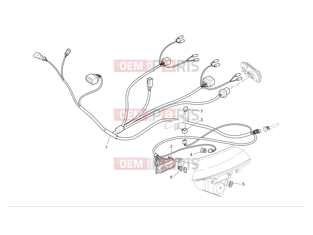 DUCATI 2006 Multistrada 620 Front wiring