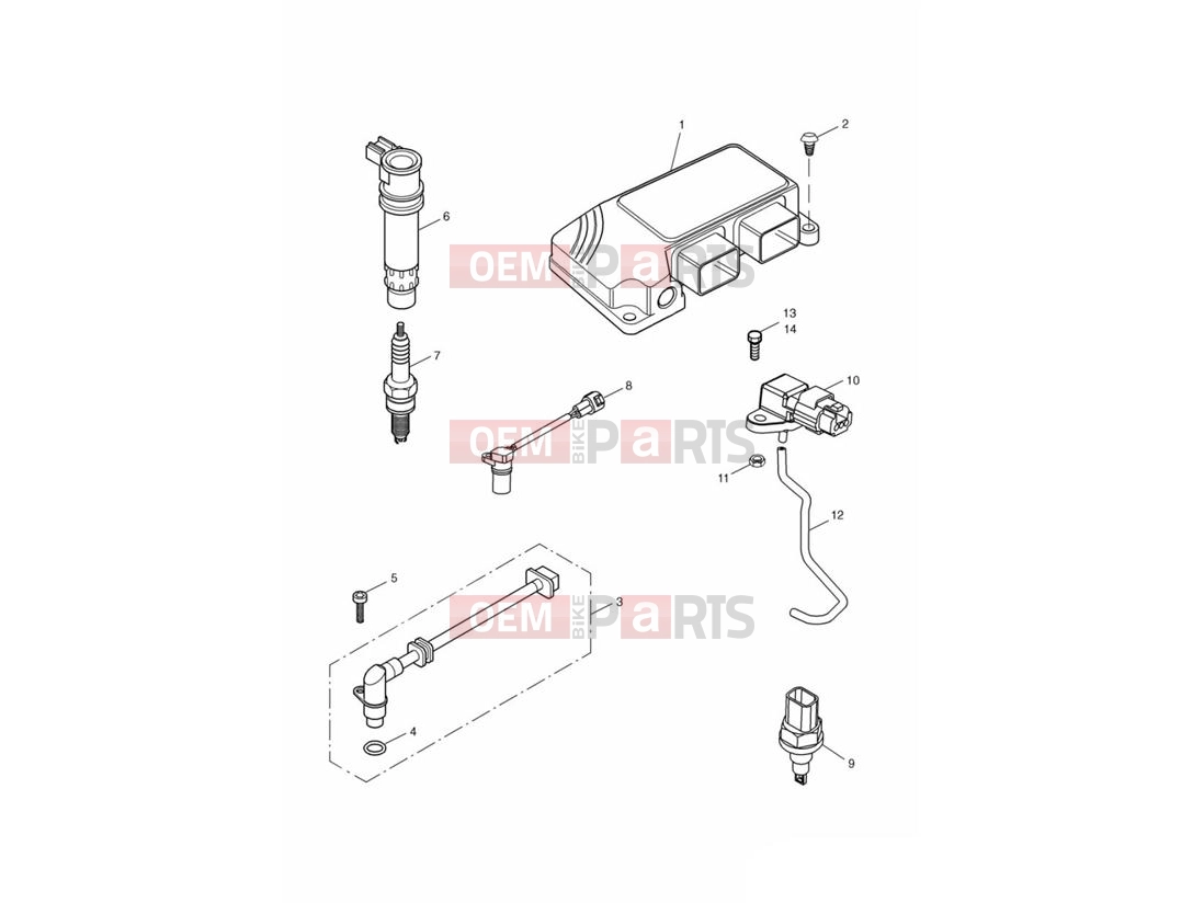 Triumph 2007 DAYTONA 600 & 650 Engine Management System