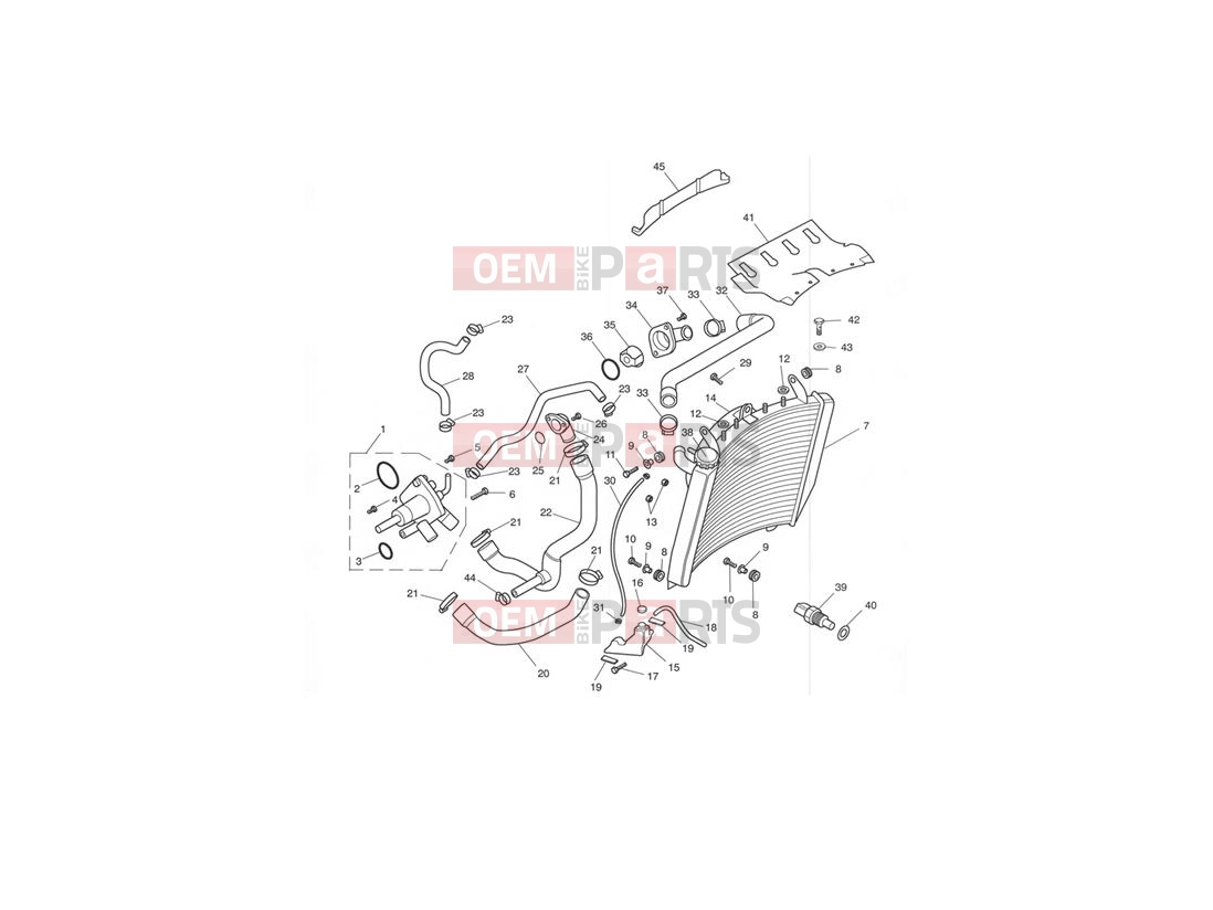 Triumph 2008 DAYTONA 600 & 650 Cooling System