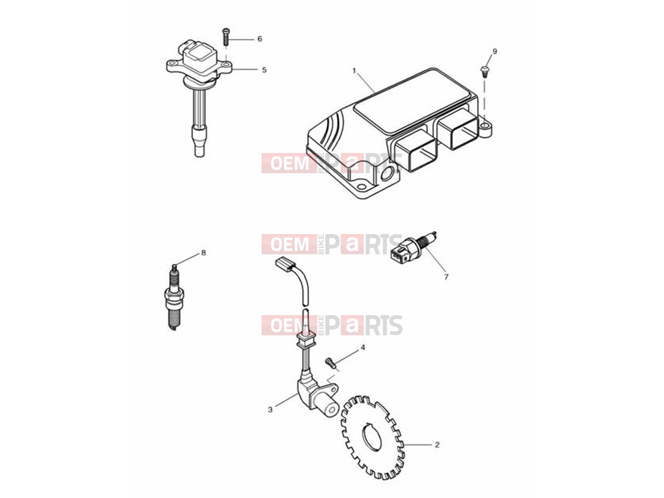 Triumph 2000 SPEED TRIPLE 885cc\955cc (EFI) > 141871 Engine Management System