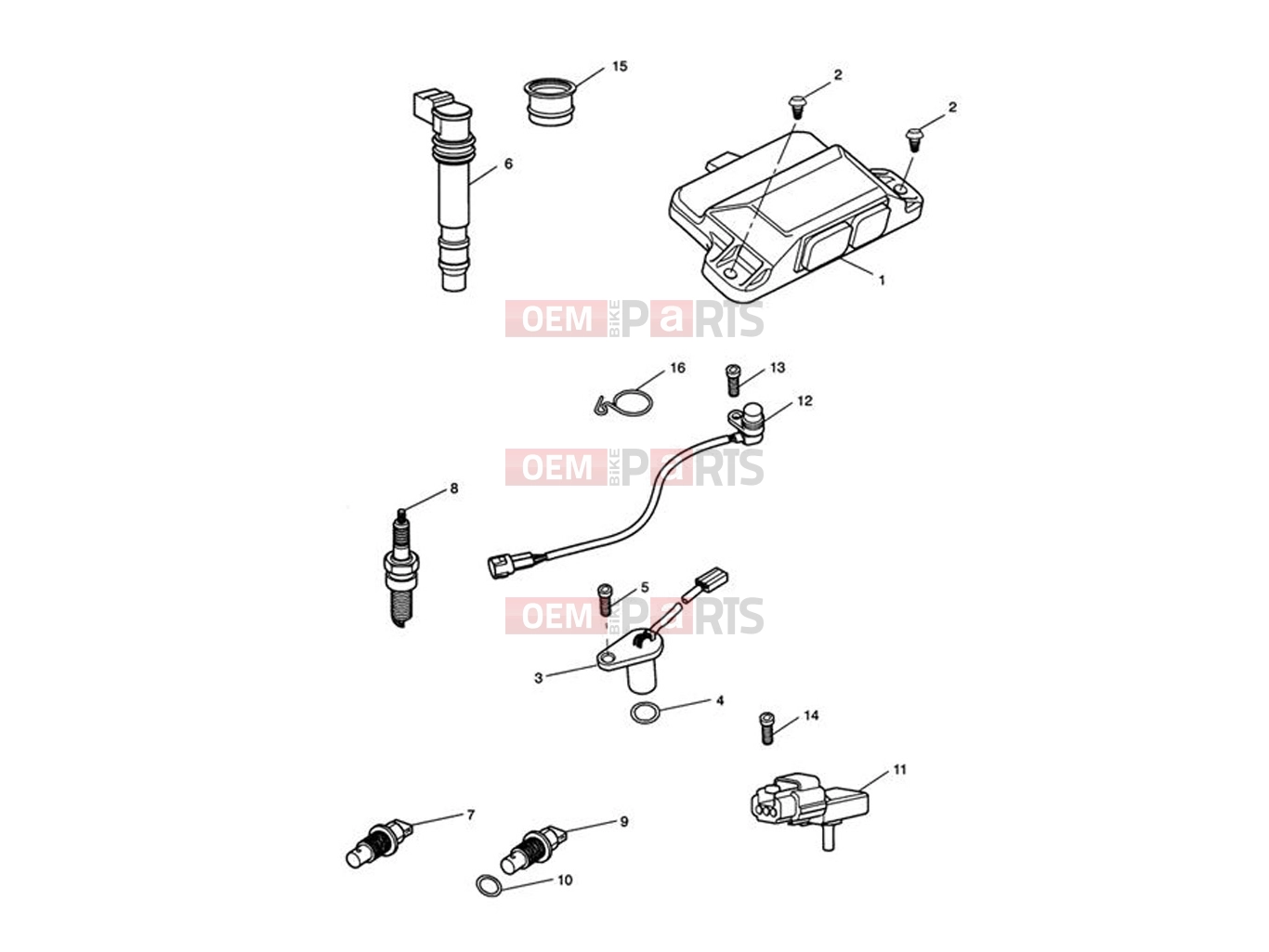 Triumph 2010 SPEED TRIPLE 210445 > 461331 Engine Management System