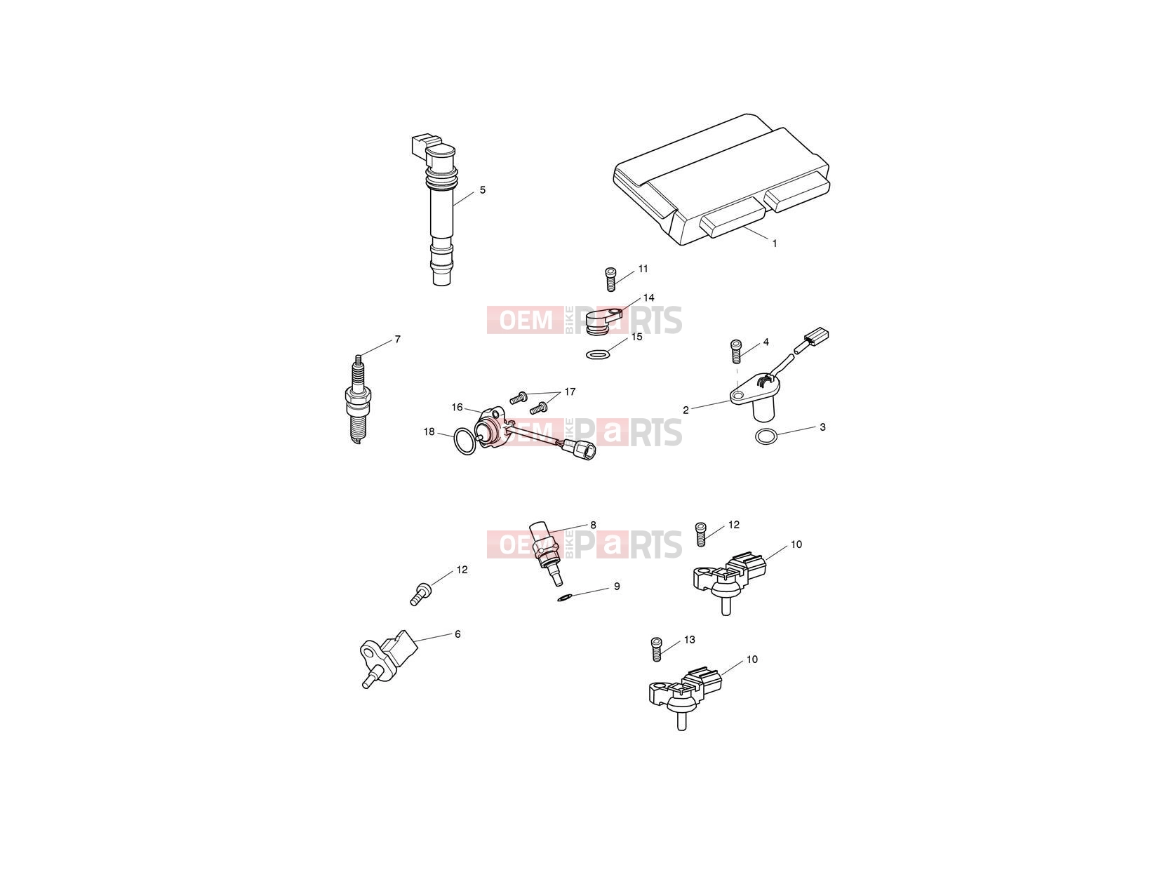 Triumph 2020 Speed Triple S Engine Management System
