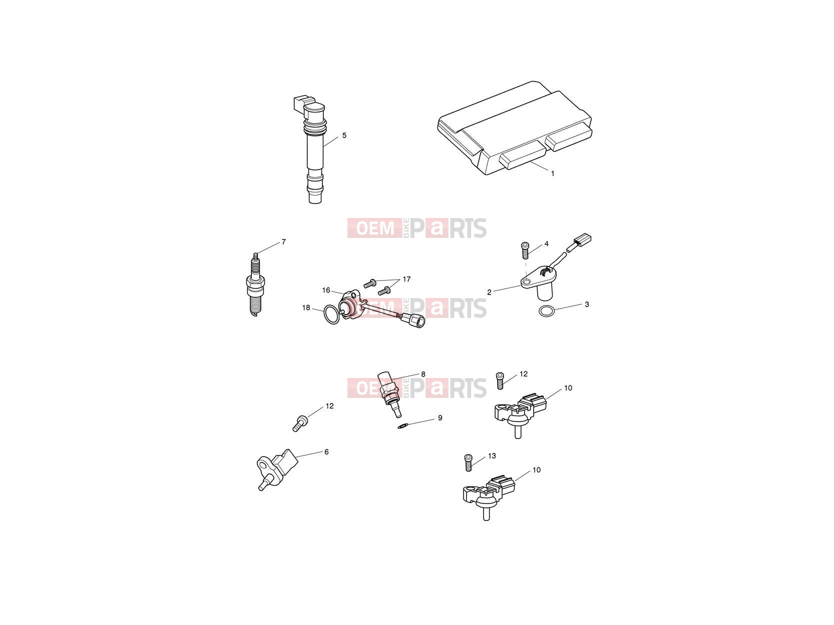 Triumph 2019 SPEED TRIPLE RS - 867601 > Engine Management System