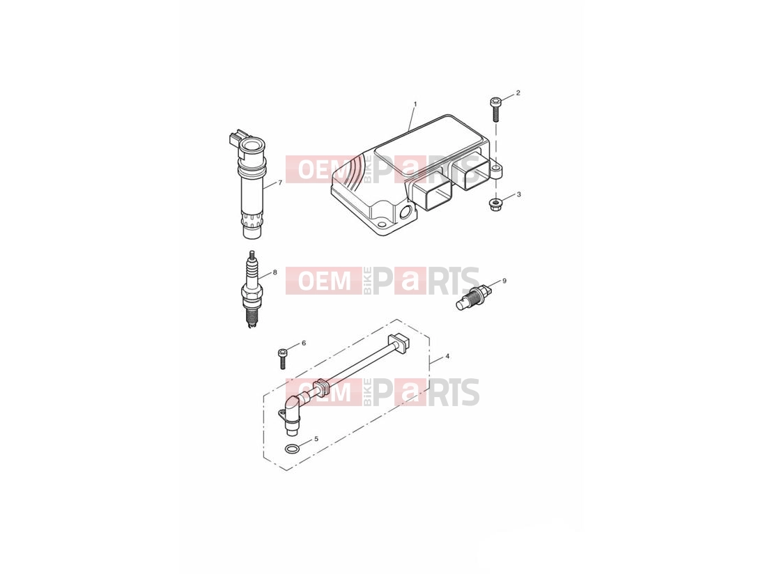Triumph 2005 SPEED FOUR Engine Management System