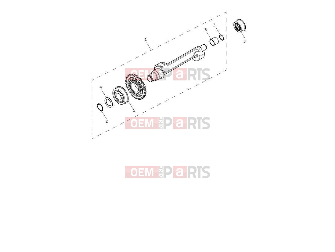 Triumph 2021 TRIDENT 660 Balancer