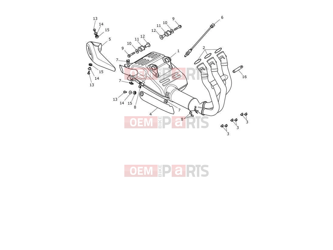 Triumph 2021 TRIDENT 660 Exhaust System