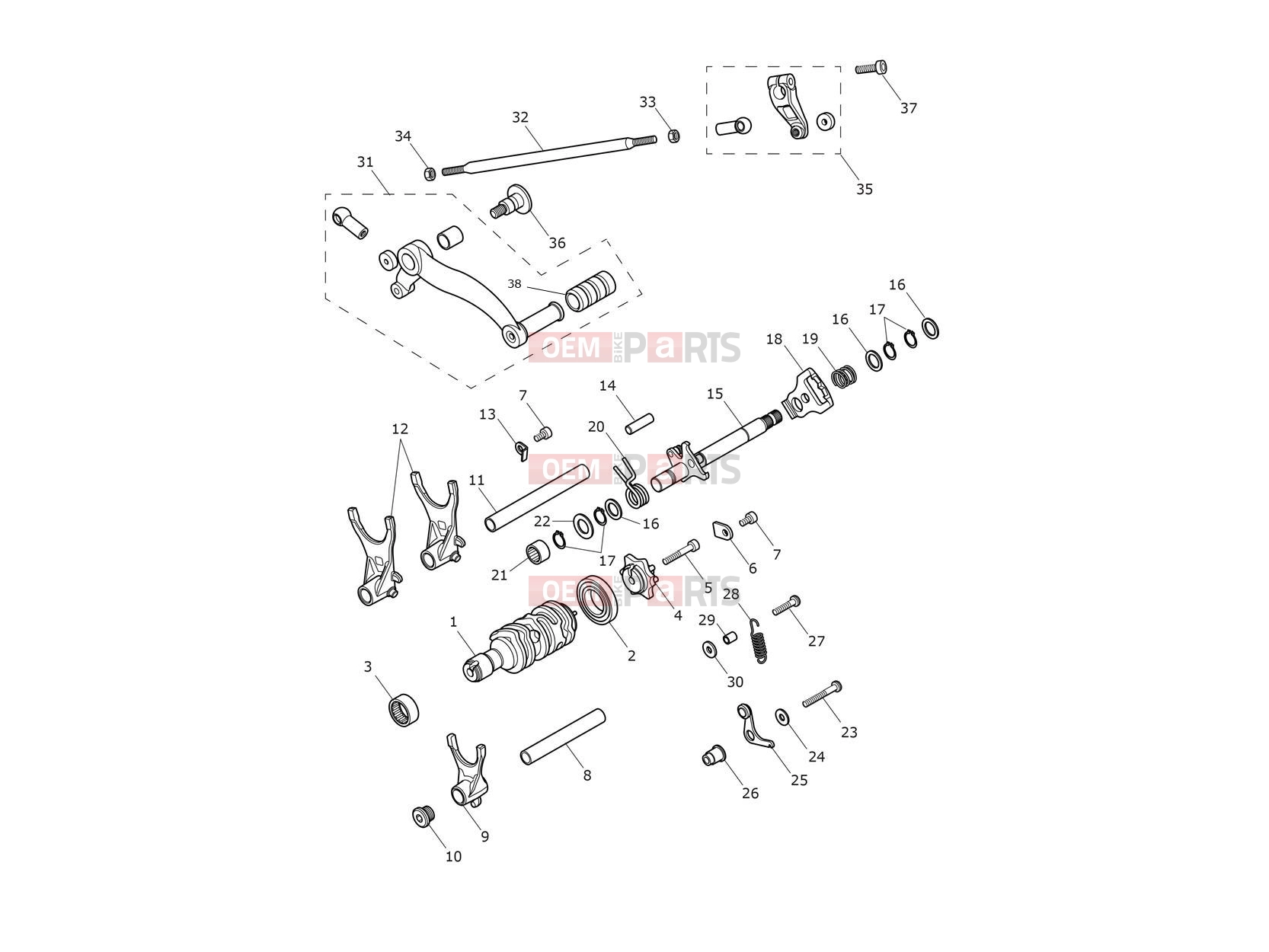 Triumph 2017 THRUXTON Gear Selectors & Pedal