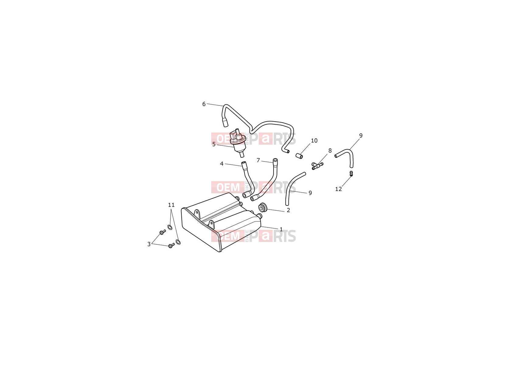 Triumph 2018 THRUXTON Evap System 833613