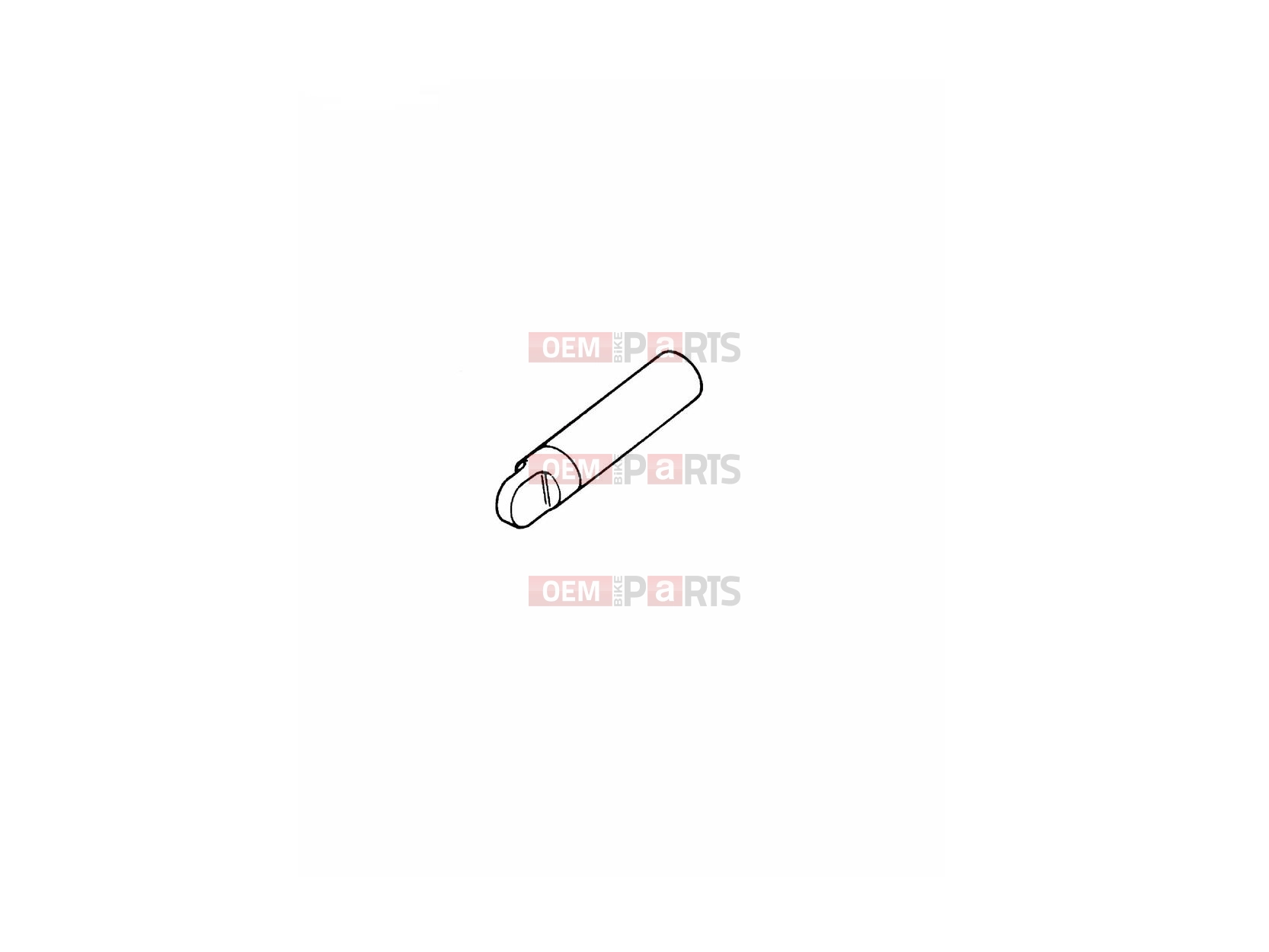 Triumph 2019 THRUXTON Touch-up Paint