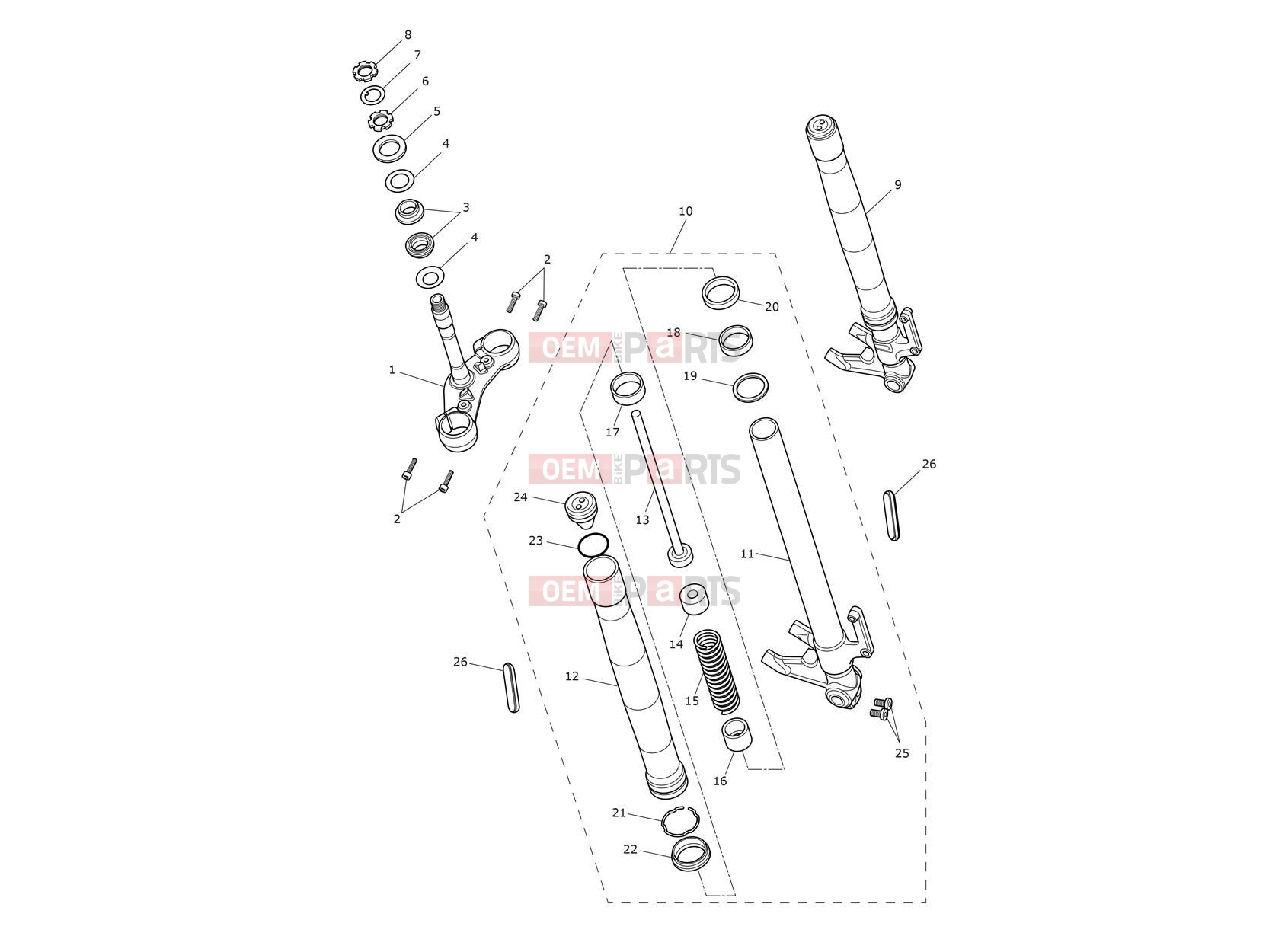 Triumph 2017 THRUXTON R Front Forks & Lower Yoke