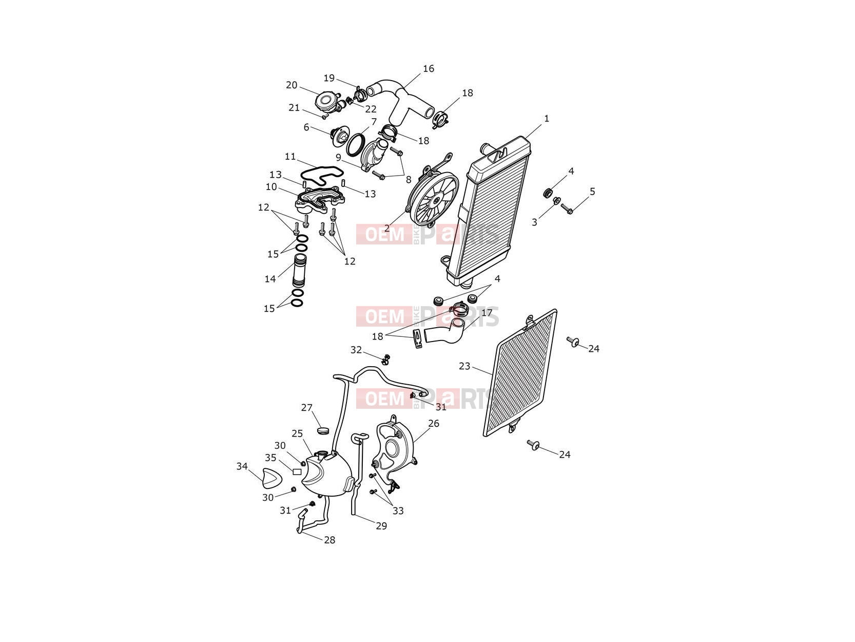 Triumph 2019 THRUXTON R Cooling System