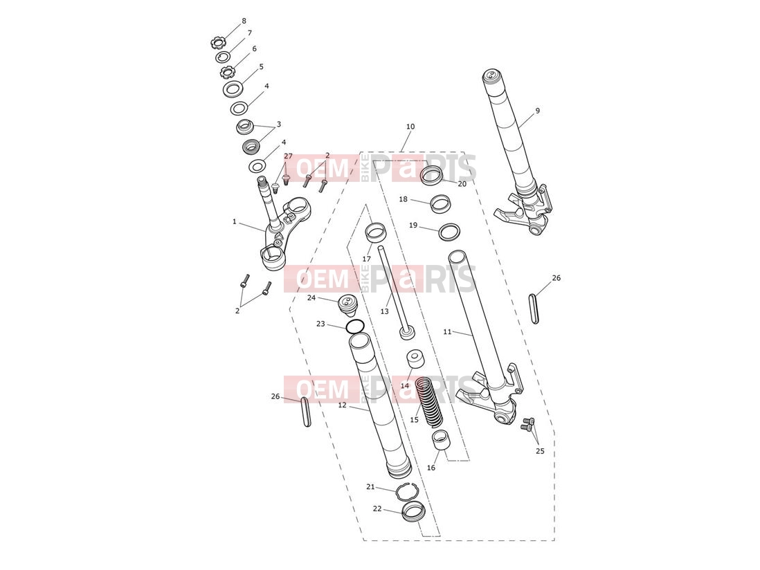 Triumph 2020 Thruxton RS Front Forks & Lower Yoke