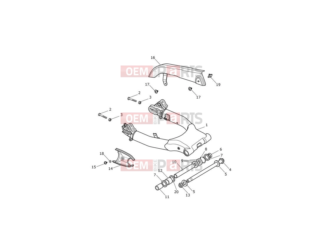 Triumph 2021 Thruxton RS Swingarm Assembly