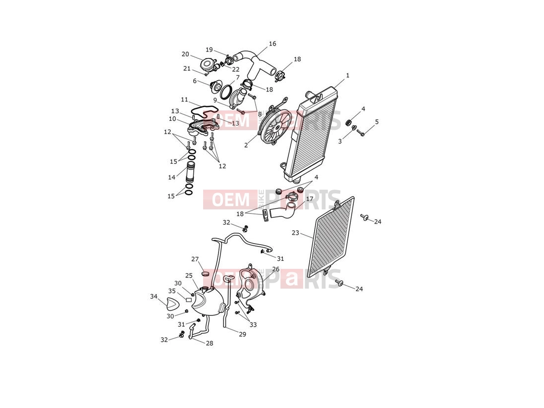 Triumph 2021 Thruxton RS Cooling System
