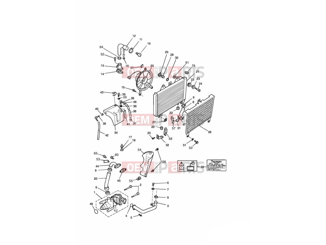 Triumph 1995 SPRINT CARBS Cooling System