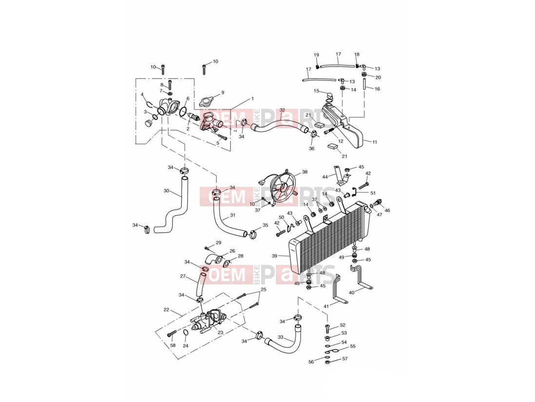 Triumph 2001 SPRINT RS > 139276 Cooling System