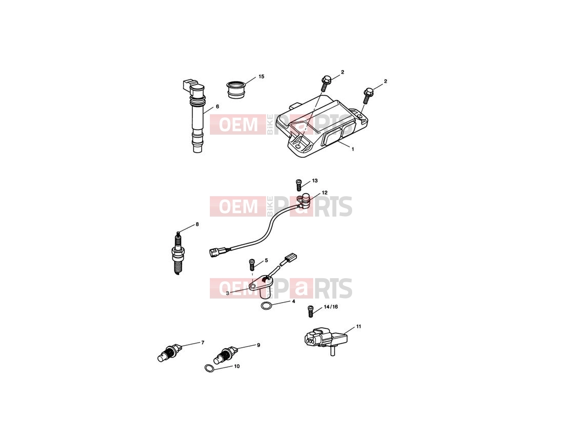 Triumph 2005 SPRINT ST 208167 > Engine Management System