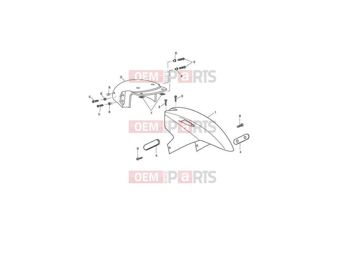 Triumph 2005 SPRINT ST 208167 > Front Mudguard