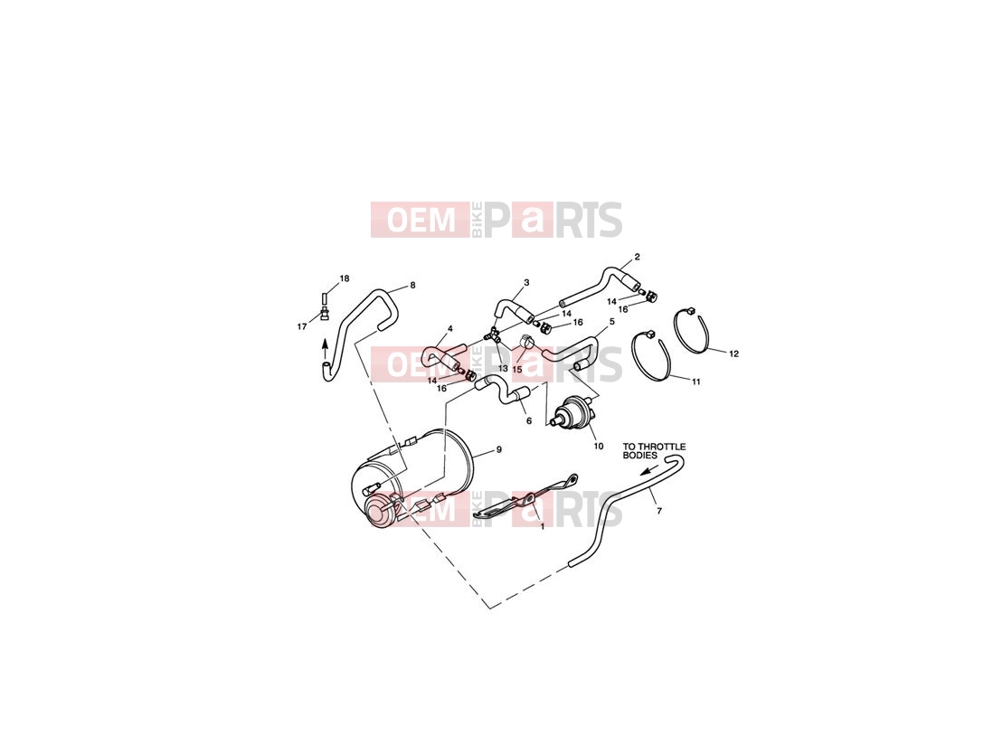 Triumph 2011 SPRINT GT Evaporative Loss Control System
