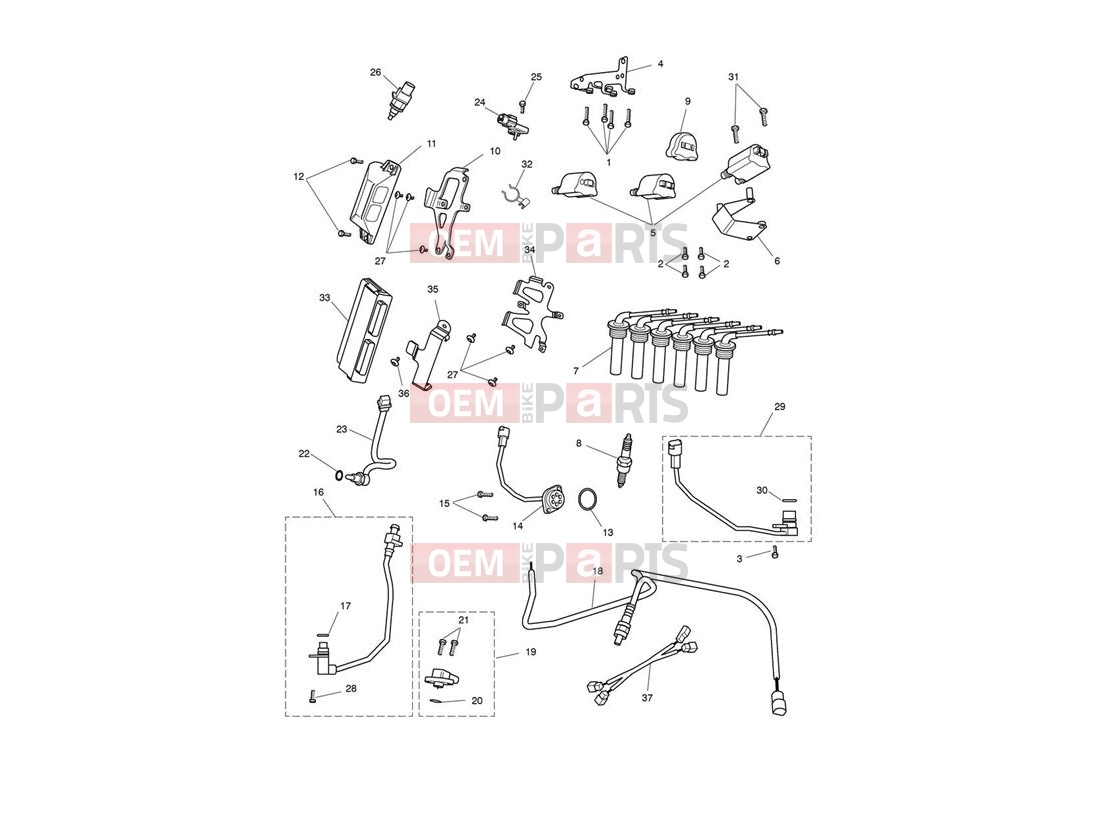Triumph 2010 ROCKET III, CLASSIC & ROADSTER Engine Management System