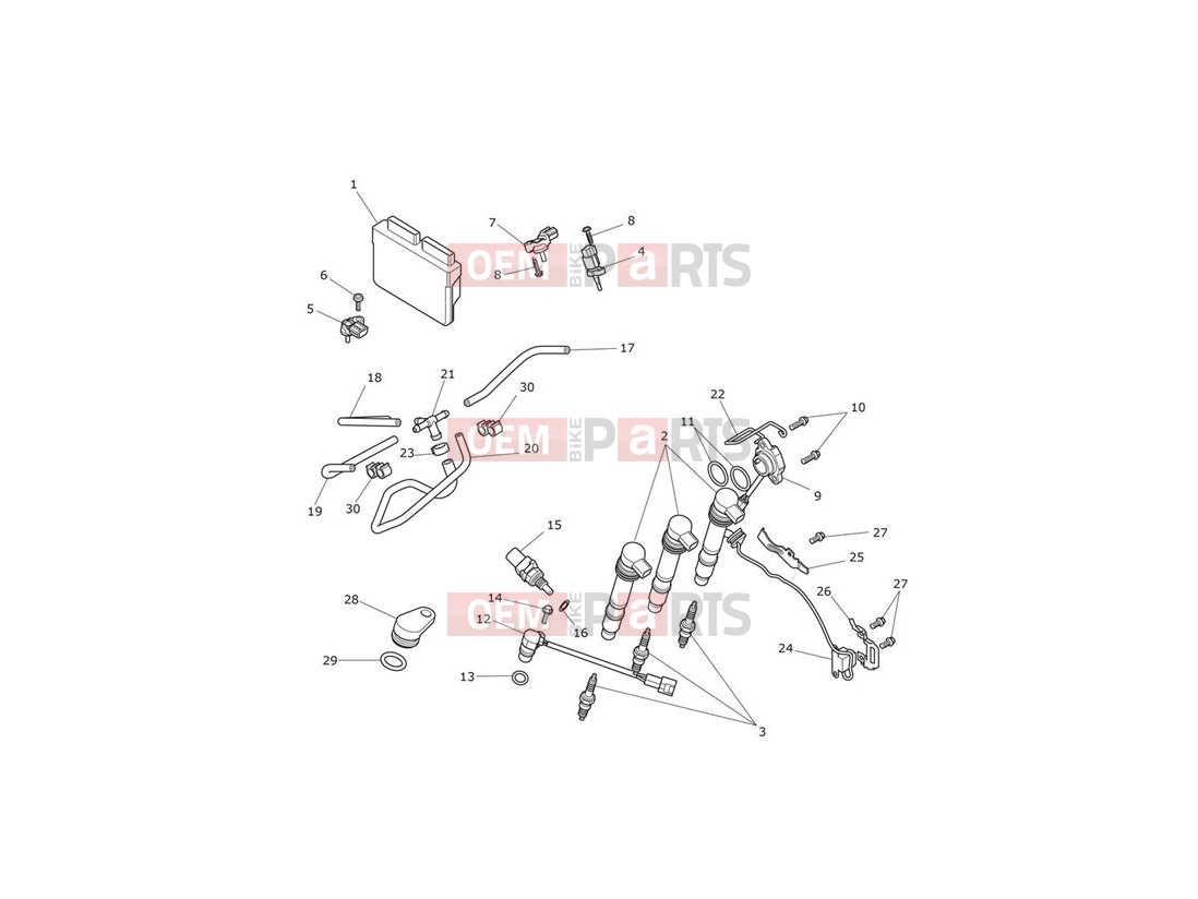 Triumph 2017 Tiger 800 674842 > TIGER XRT Engine Management System