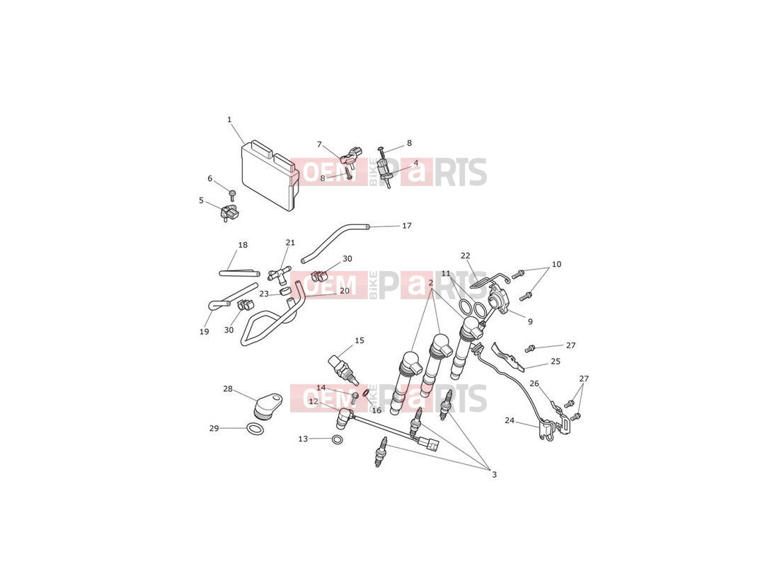 Triumph 2019 TIGER 800 XCX 855532 > Engine Management System