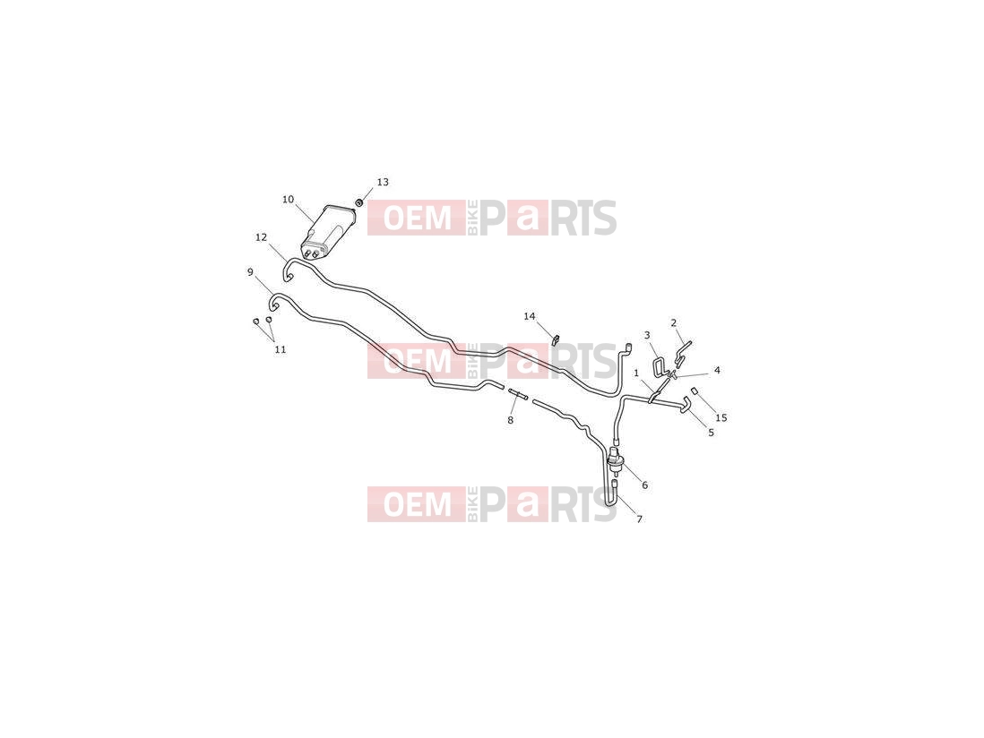 Triumph 2013 TROPHY 1215 Evaporative Loss Control System