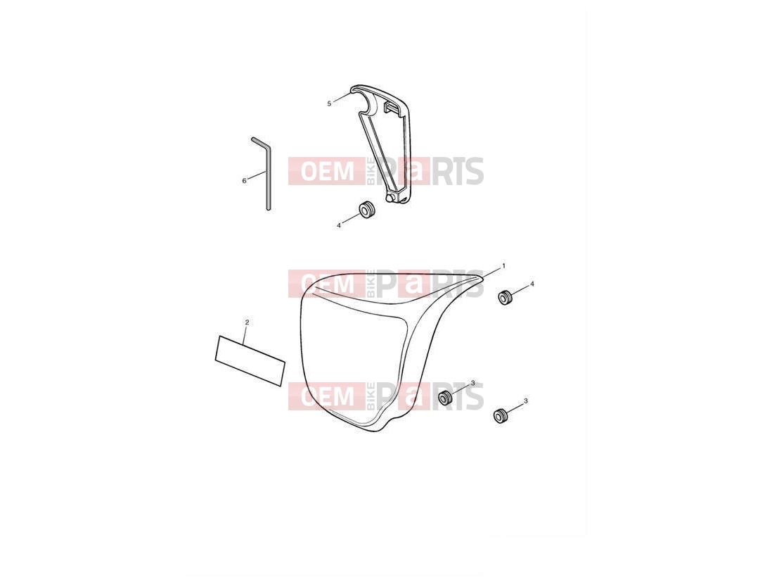 Triumph 2004 SPEEDMASTER CARBS Bodywork - Side Panels