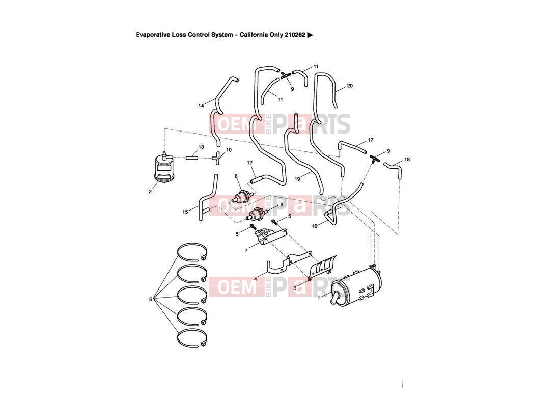 Triumph 2004 SPEEDMASTER CARBS Evaporative Loss Control System 210262 >