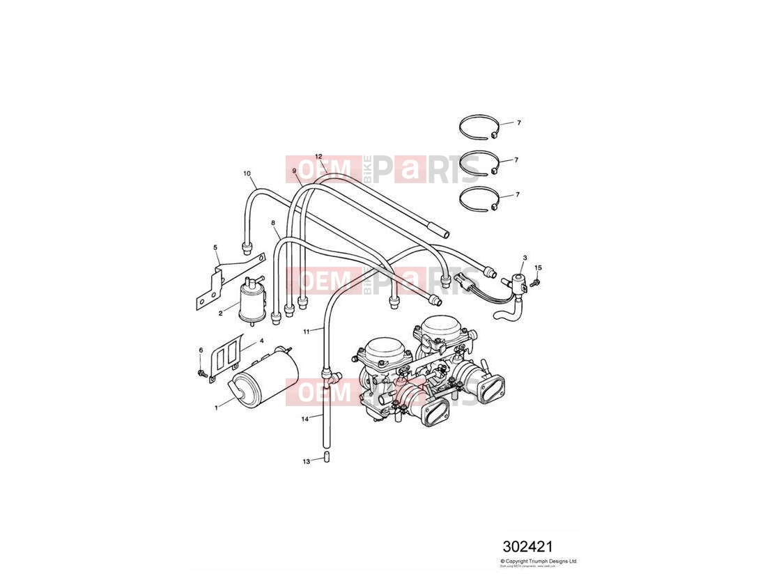 Triumph 2004 SPEEDMASTER CARBS Evaporative Loss Control System > 210261