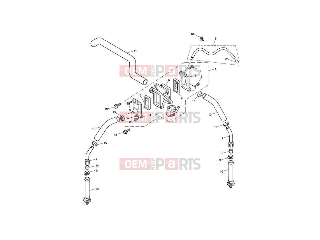 Triumph 2007 SPEEDMASTER CARBS Emissions Control