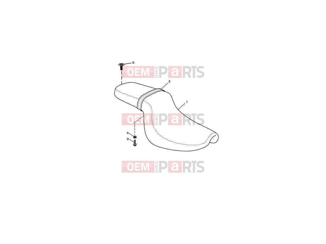 Triumph 2014 SPEEDMASTER EFI Seat