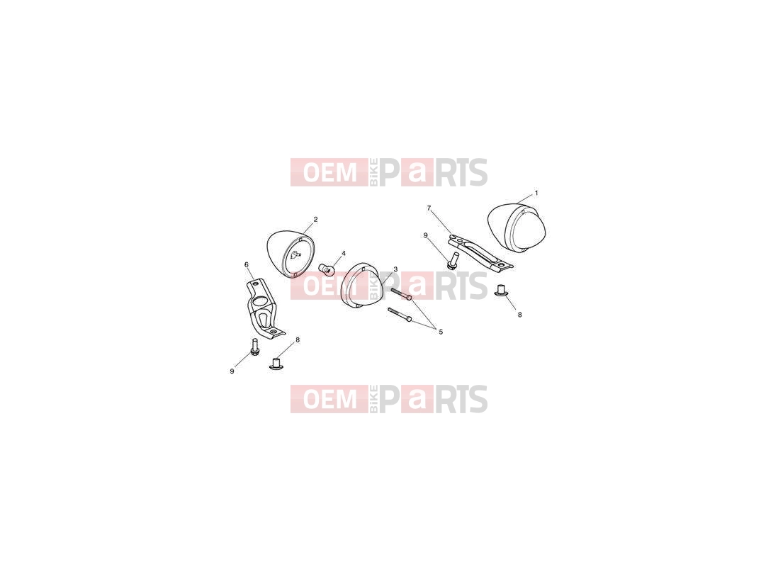 Triumph 2014 SPEEDMASTER EFI Indicators 469051