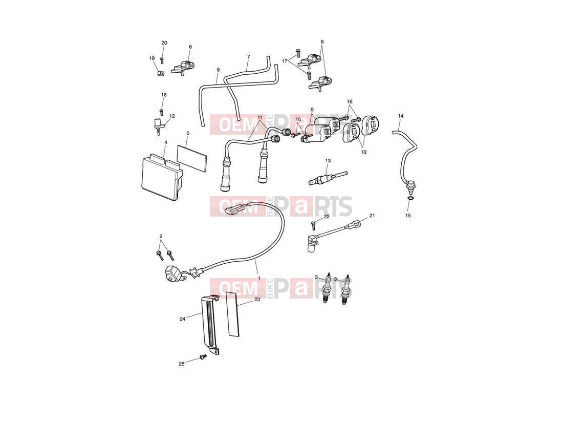 Triumph 2014 SPEEDMASTER EFI Engine Management System